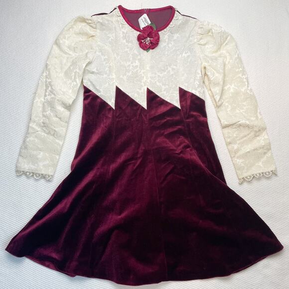 Vintage Pretty As A Picture Velvet And Lace Dress - Picture 1 of 7